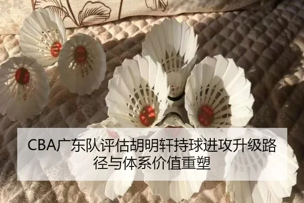 CBA广东队评估胡明轩持球进攻升级路径与体系价值重塑